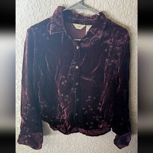 J Jill Velvet Purple Whimsigoth Fairy Grunge Blouse Mid Sleeve Size 10